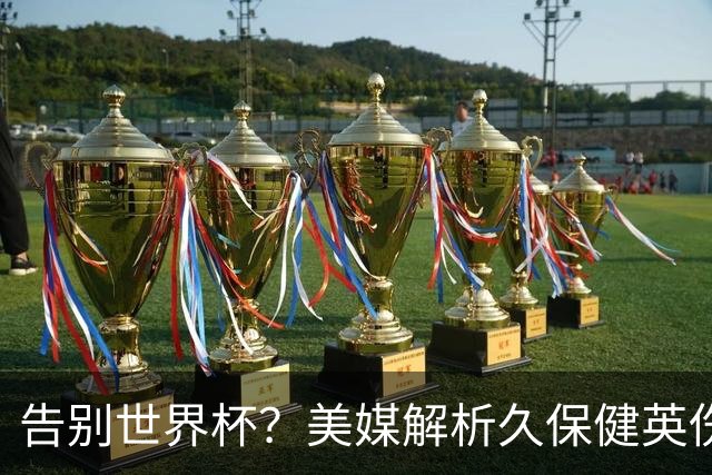 告别世界杯？美媒解析久保健英伤情 最严重需恢复四到六周